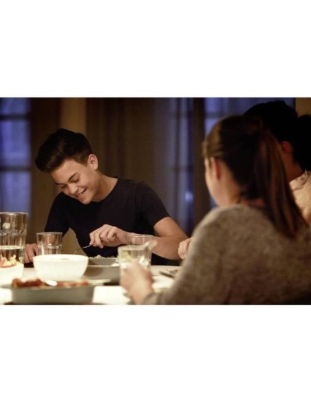 Ampoule LED PHILIPS Non dimmable - E27 - 75W - Blanc Chaud