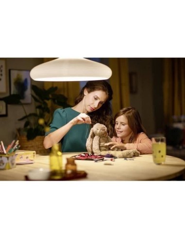 PHILIPS LED Classic 60W Standard E27 Blanc Chaud Non Dimmable Lot de 2